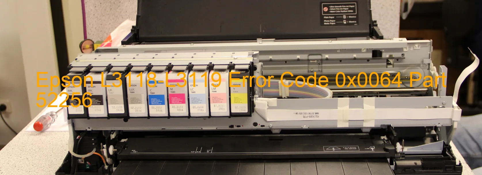 Epson L3118-L3119 Error Code 0x0064 Part 52256