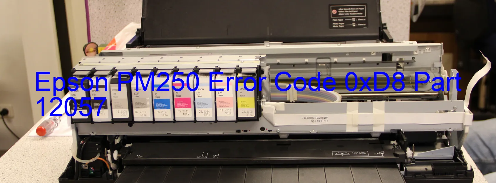 Epson PM250 Error Code 0xD8 Part 12057