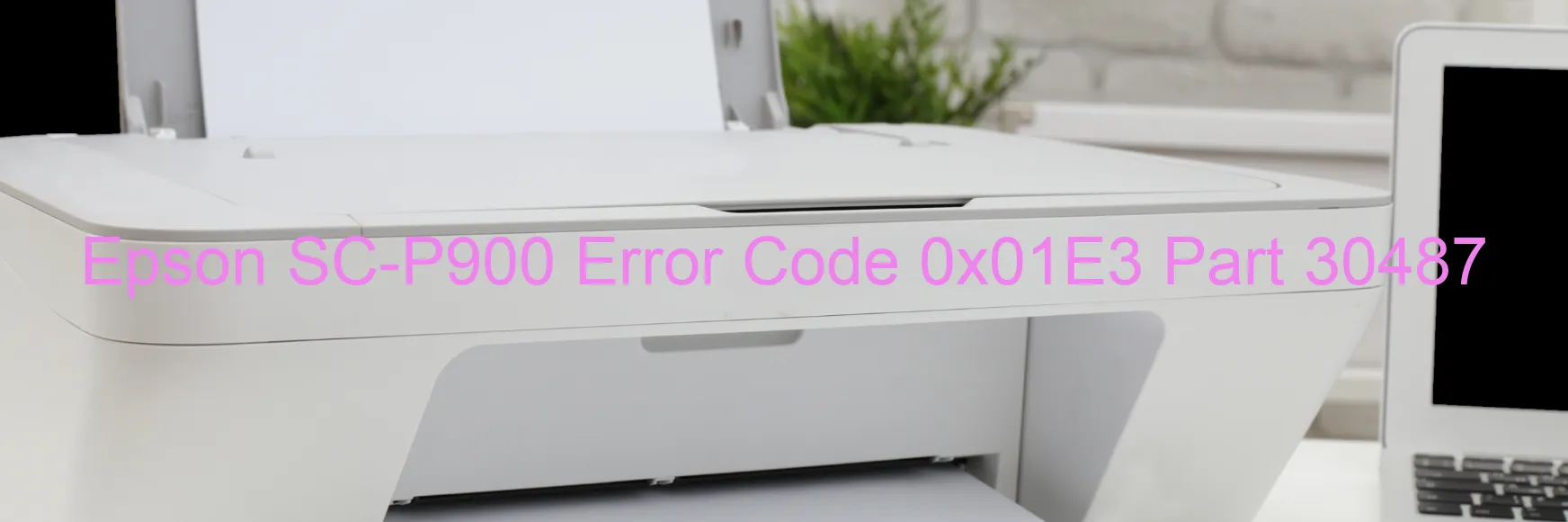 Epson SC-P900 Error Code 0x01E3 Part 30487