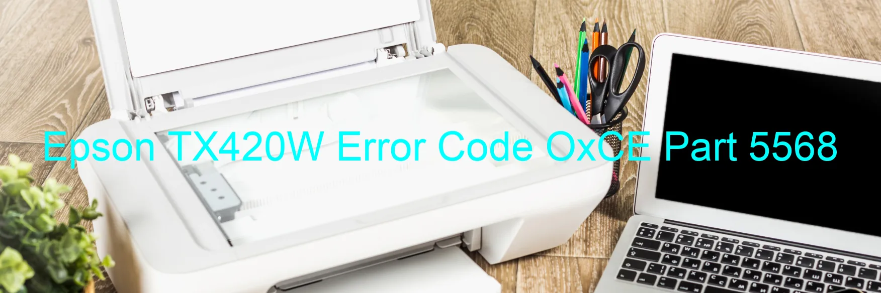 Epson TX420W Error Code OxCE Part 5568