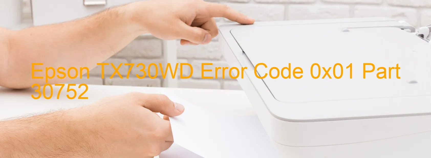 Epson TX730WD Error Code 0x01 Part 30752