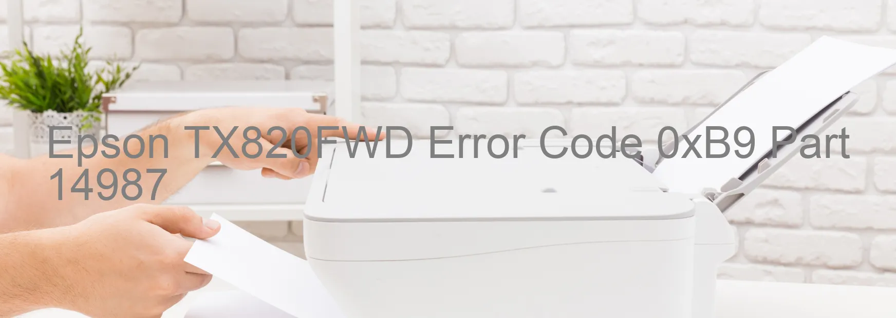 Epson TX820FWD Error Code 0xB9 Part 14987