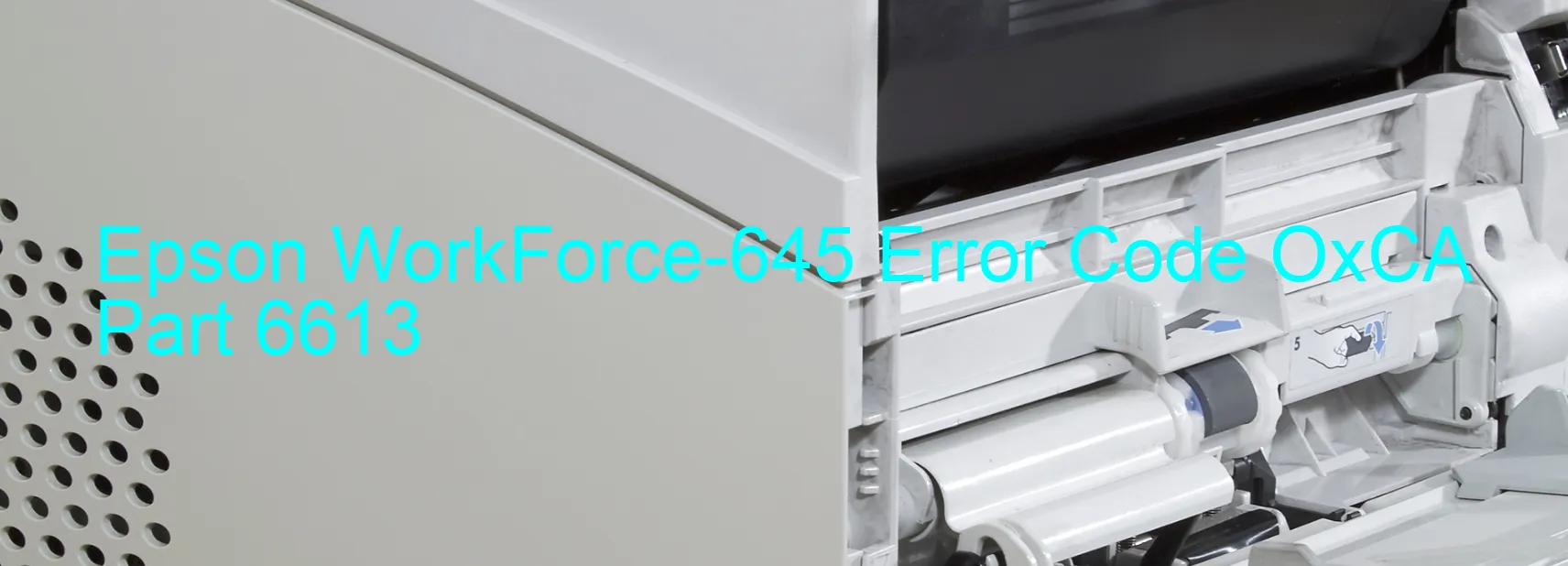 Epson WorkForce-645 Error Code OxCA Part 6613