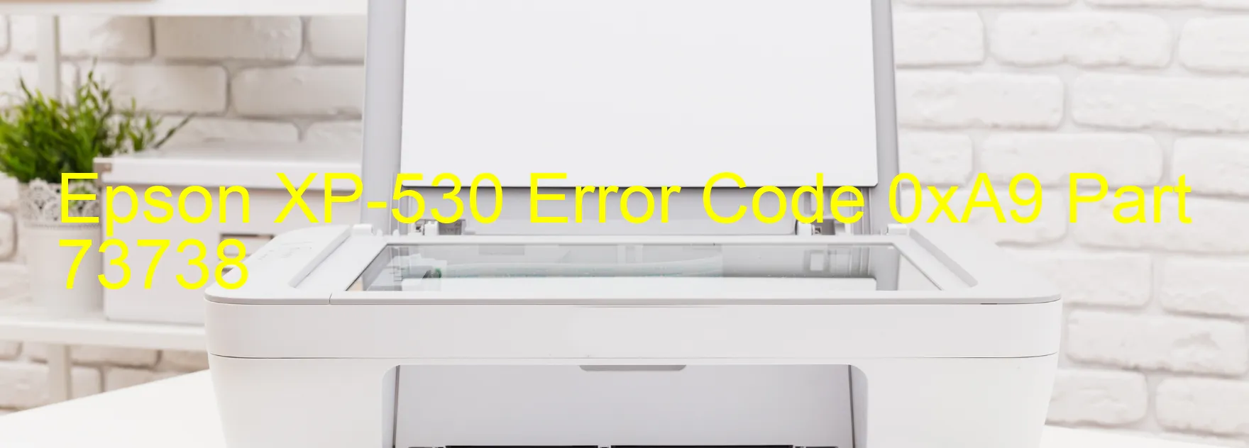 Epson XP-530 Error Code 0xA9 Part 73738