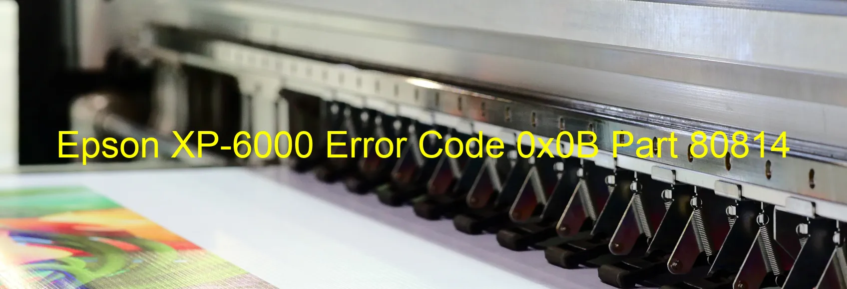 Epson XP-6000 Error Code 0x0B Part 80814