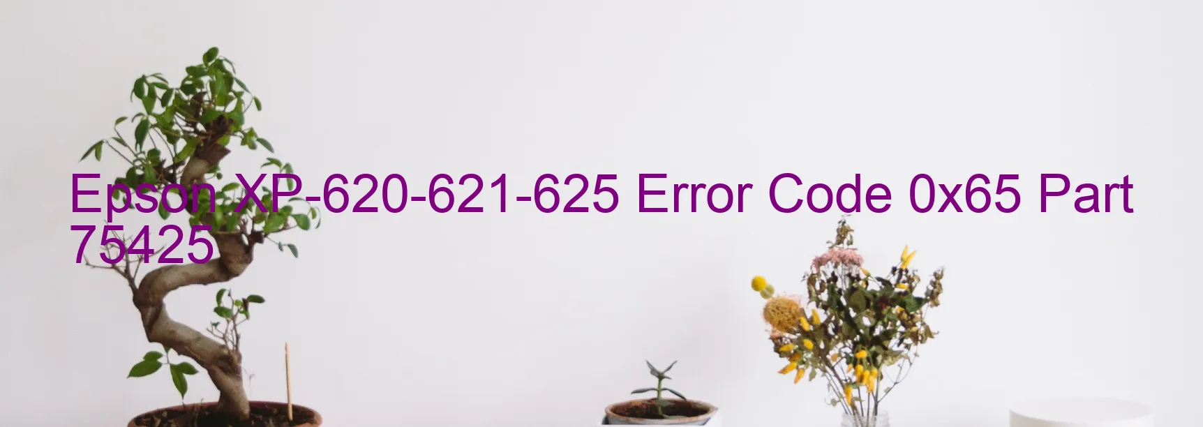 Epson XP-620-621-625 Error Code 0x65 Part 75425